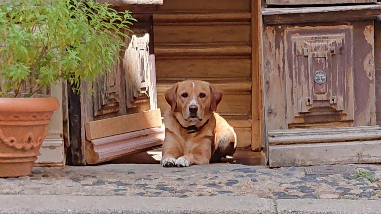 ホテル Epicerie Vieille Du Puy En Velay Le Puy-en-Velay エクステリア 写真