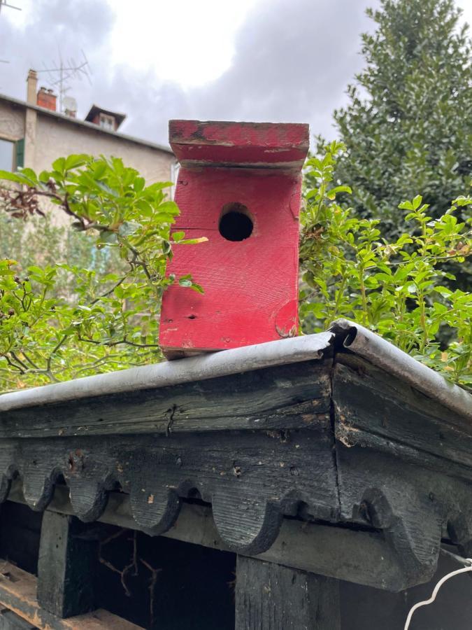 ホテル Epicerie Vieille Du Puy En Velay Le Puy-en-Velay エクステリア 写真